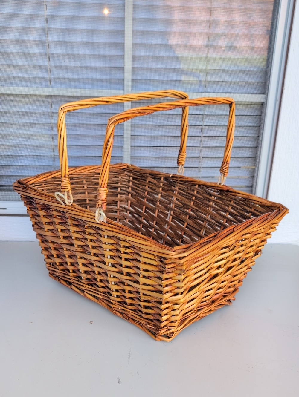 Vintage Woven Double-Handle Storage Basket - Brown (226)